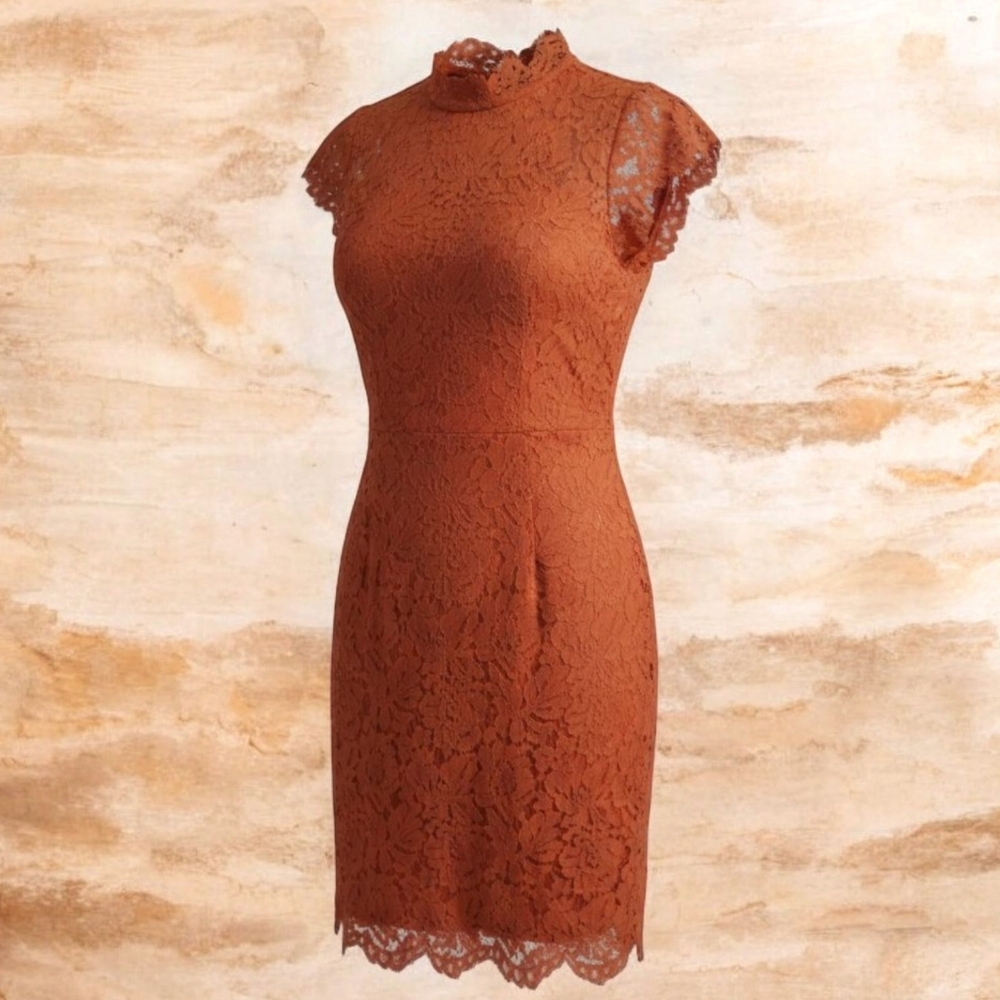 Elegant lace cocktail dress knee length NWT sz 6 to 8, M burnt brown
